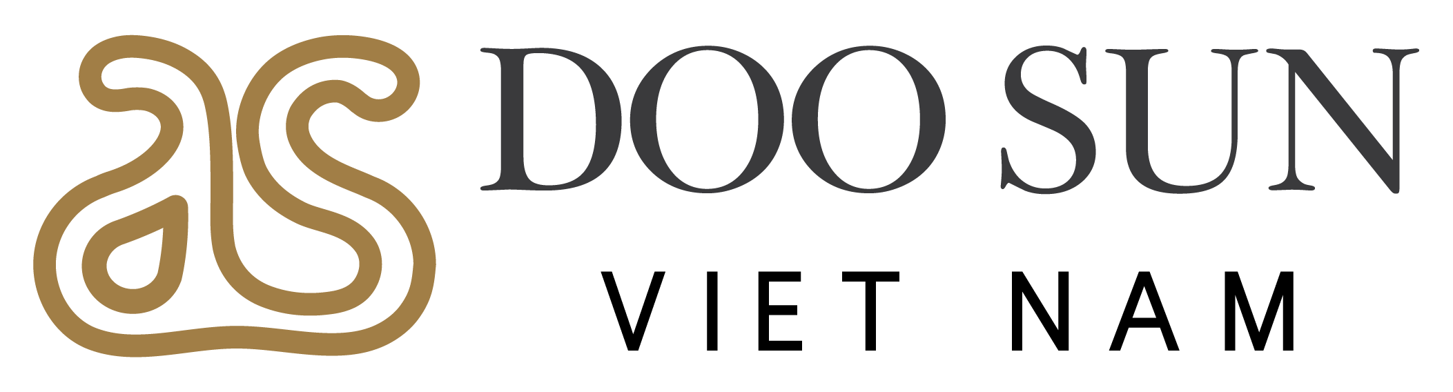 Logo DS moi